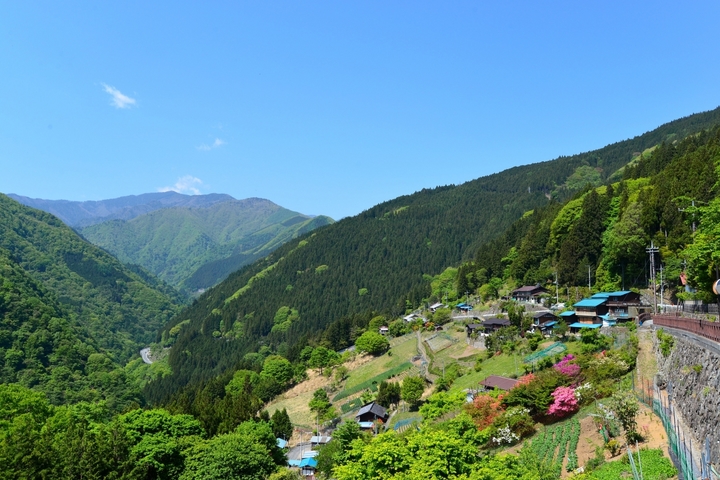 �˂��˂��ɂ�