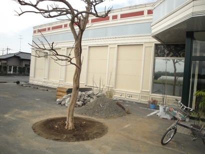 �q���p���H�[�@�x�[�J���[����