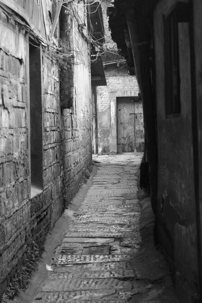 �q���p���H�[�@�x�[�J���[����