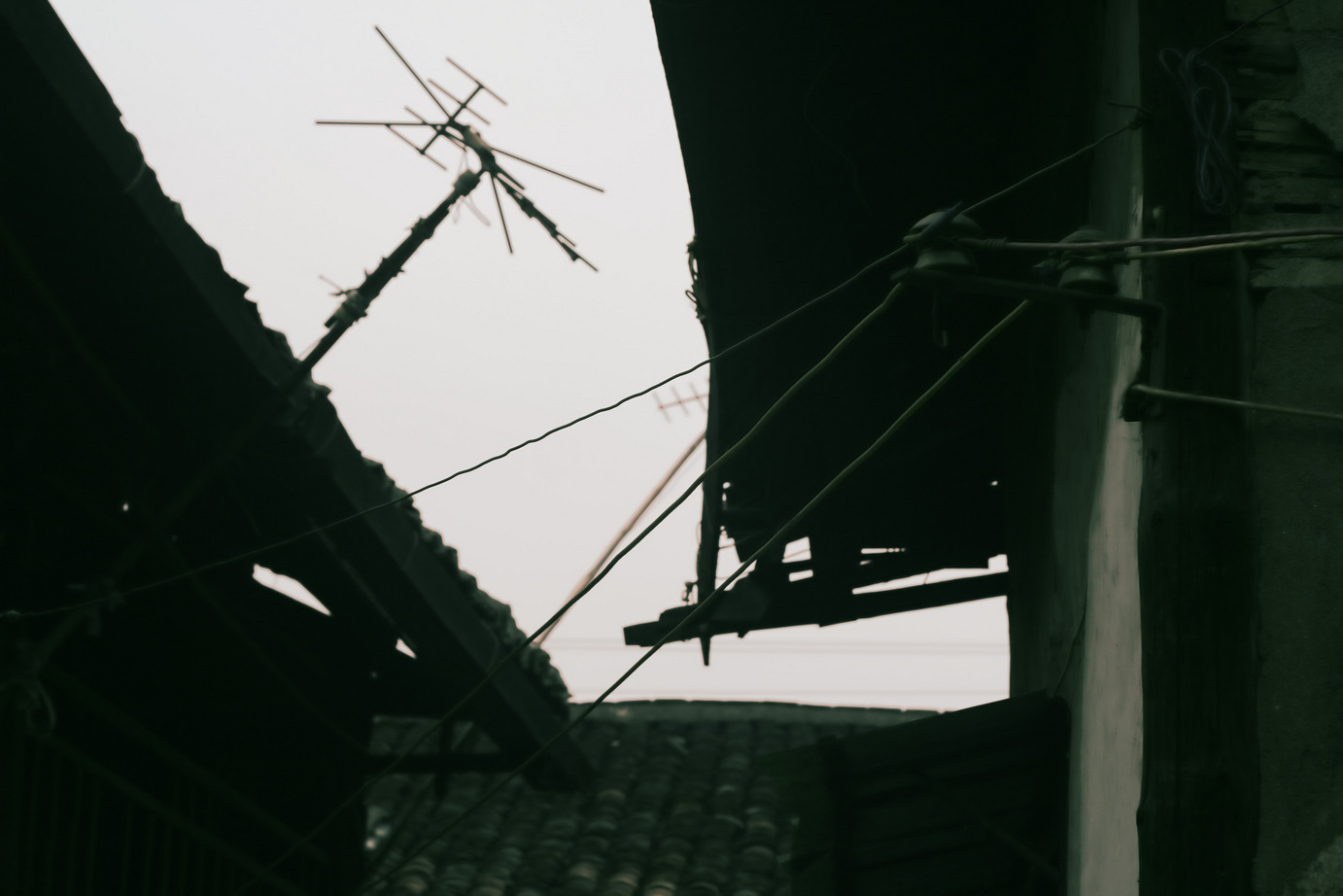 �q���p���H�[�@�x�[�J���[����