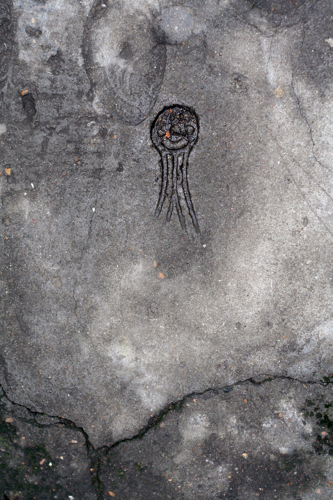 �q���p���H�[�@�x�[�J���[����