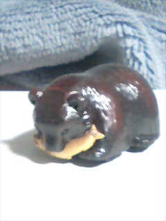 �����ǂ�Z�tcoldgin�̃z�[���y�[�W