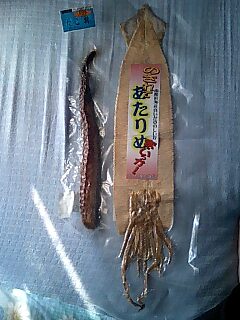 �����ǂ�Z�tcoldgin�̃z�[���y�[�W