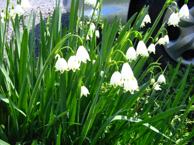 ���Ȃ��́u���䂢���v�Ɏ肪�͂����c�d�݂̂g�o�ւ悤�����I