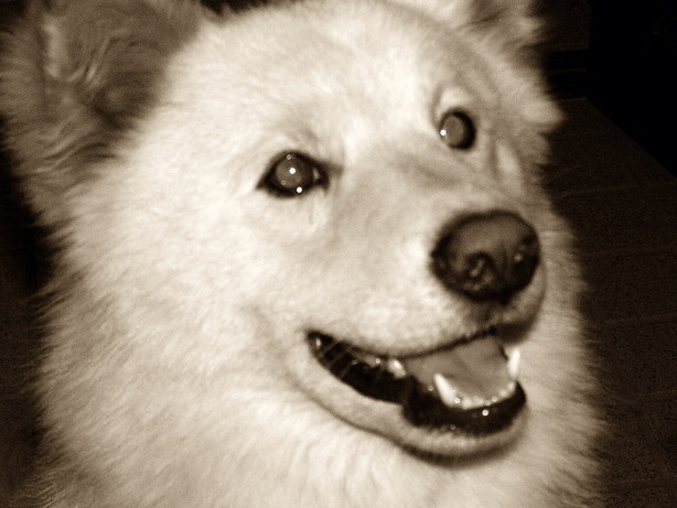 �G�R���W�|�Ƃ��悤iroiro �Ԃ�`�Ԃ�