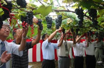 ����ӂ˃t���[�c�p�[�N ����΂�r����ff