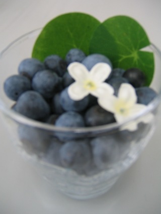 ����ӂ˃t���[�c�p�[�N ����΂�r����ff