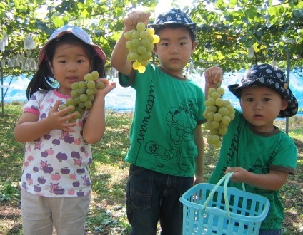 ����ӂ˃t���[�c�p�[�N ����΂�r����ff