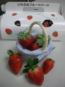 ����ӂ˃t���[�c�p�[�N ����΂�r����ff