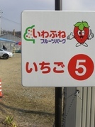 ����ӂ˃t���[�c�p�[�N ����΂�r����ff