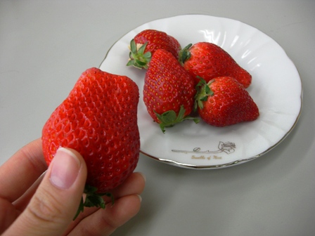 ����ӂ˃t���[�c�p�[�N ����΂�r����ff