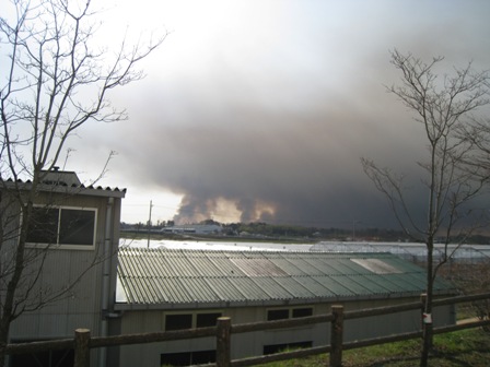 ����ӂ˃t���[�c�p�[�N ����΂�r����ff