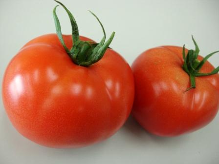 ����ӂ˃t���[�c�p�[�N ����΂�r����ff