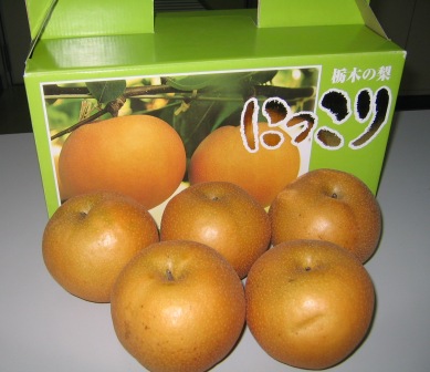 ����ӂ˃t���[�c�p�[�N ����΂�r����ff