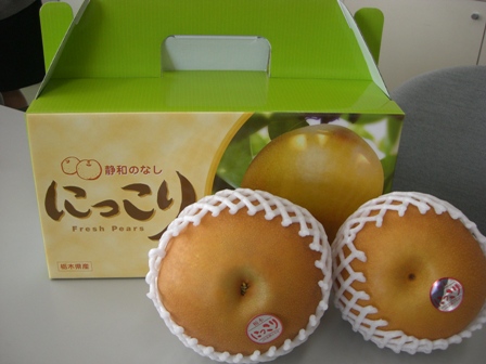 ����ӂ˃t���[�c�p�[�N ����΂�r����ff