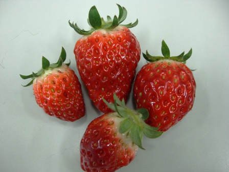 ����ӂ˃t���[�c�p�[�N ����΂�r����ff