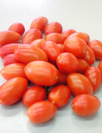 ����ӂ˃t���[�c�p�[�N ����΂�r����ff