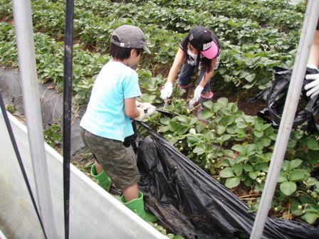 ����ӂ˃t���[�c�p�[�N ����΂�r����ff