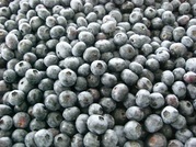 ����ӂ˃t���[�c�p�[�N ����΂�r����ff