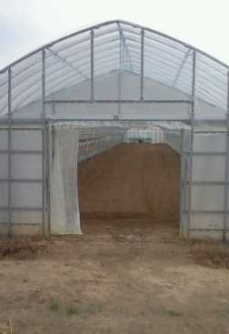 ����ӂ˃t���[�c�p�[�N ����΂�r����ff