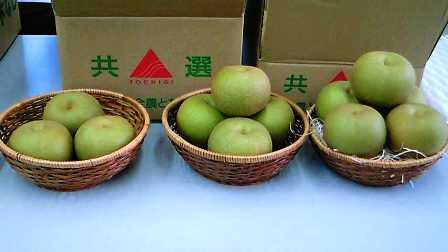 ����ӂ˃t���[�c�p�[�N ����΂�r����ff