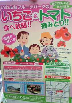 ����ӂ˃t���[�c�p�[�N ����΂�r����ff