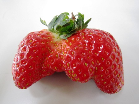 ����ӂ˃t���[�c�p�[�N ����΂�r����ff