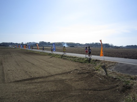 ����ӂ˃t���[�c�p�[�N ����΂�r����ff