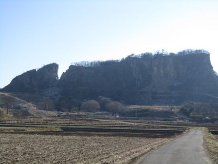 ����ӂ˃t���[�c�p�[�N ����΂�r����ff