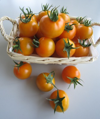 ����ӂ˃t���[�c�p�[�N ����΂�r����ff