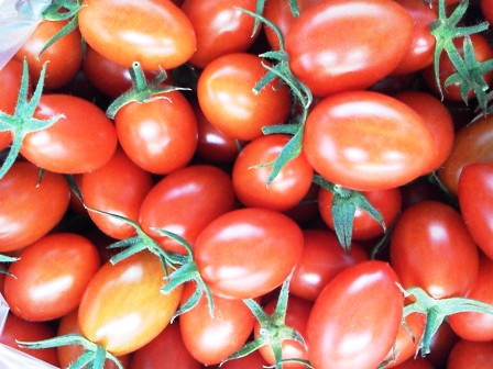 ����ӂ˃t���[�c�p�[�N ����΂�r����ff