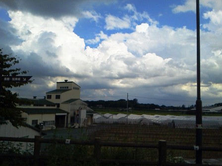 ����ӂ˃t���[�c�p�[�N ����΂�r����ff