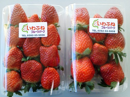 ����ӂ˃t���[�c�p�[�N ����΂�r����ff