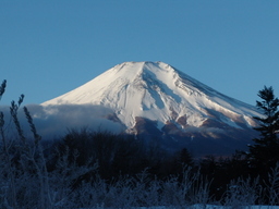 ���R�Ɗy����