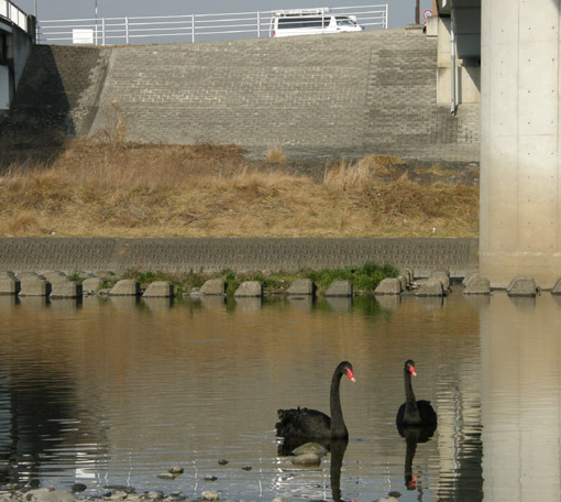 ��R���ĕ���