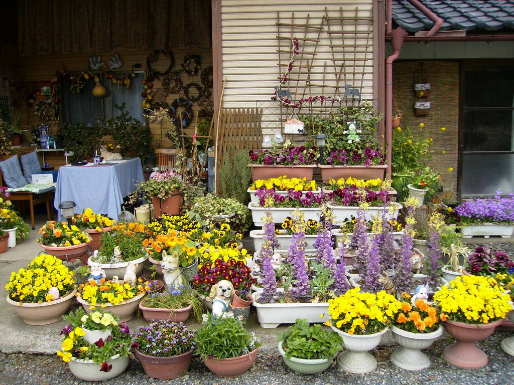 �܂������̒�