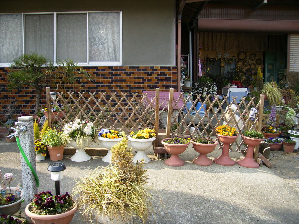 �܂������̒�