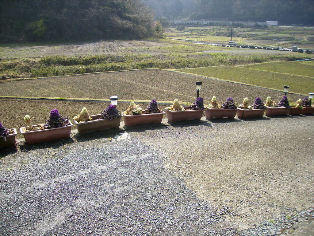 �܂������̒�