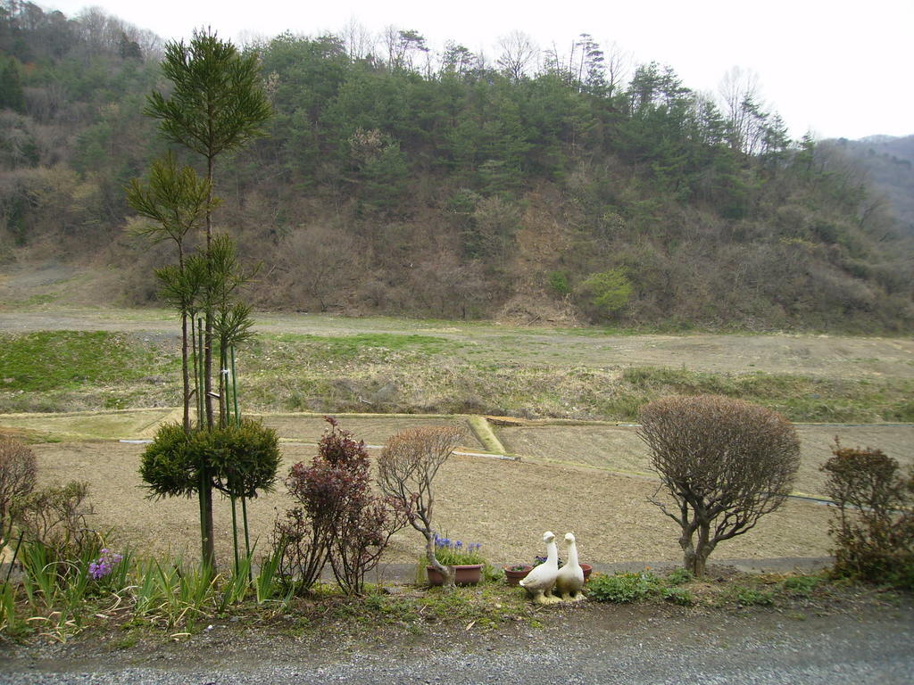 �܂������̒�