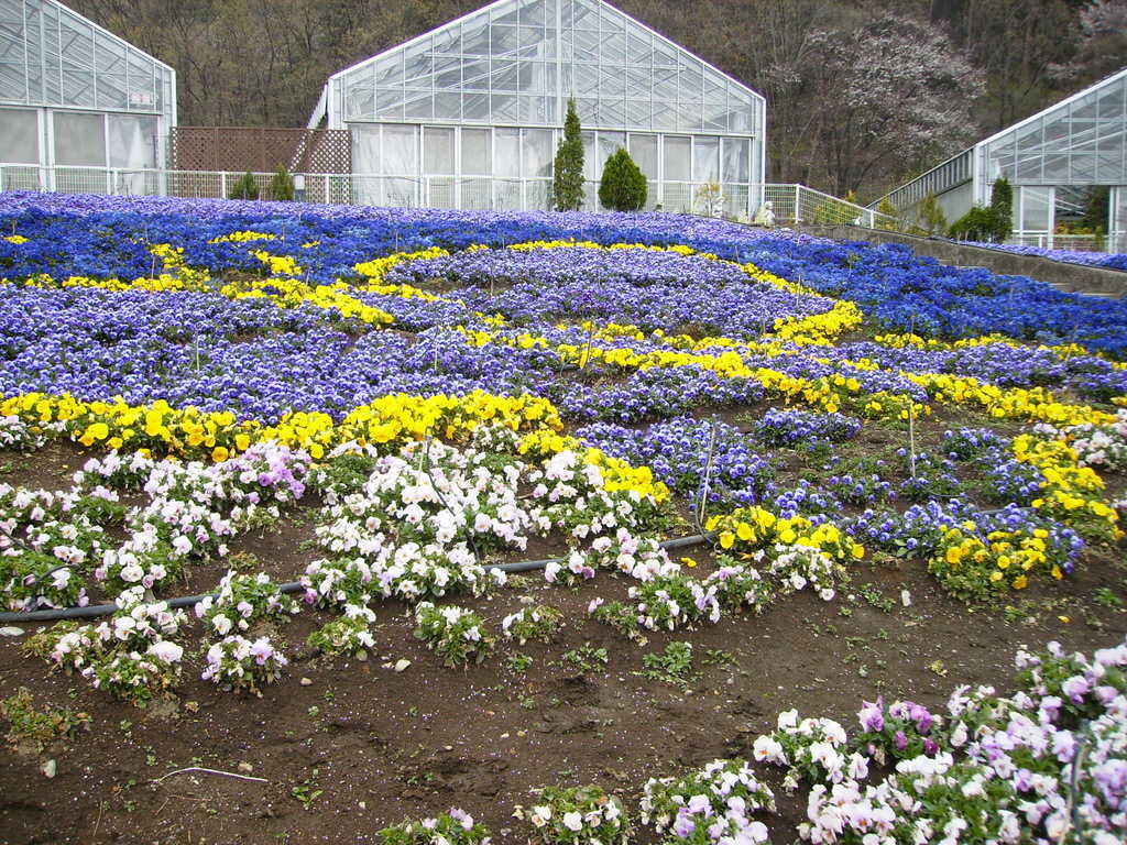 �܂������̒�