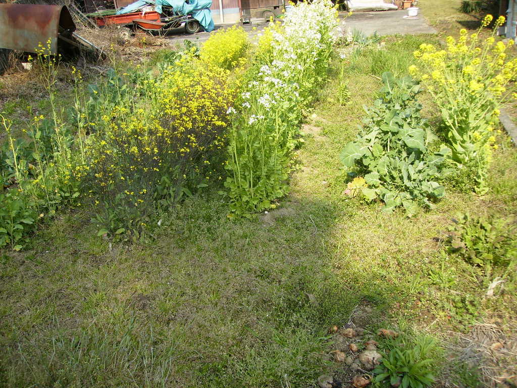 �܂������̒�