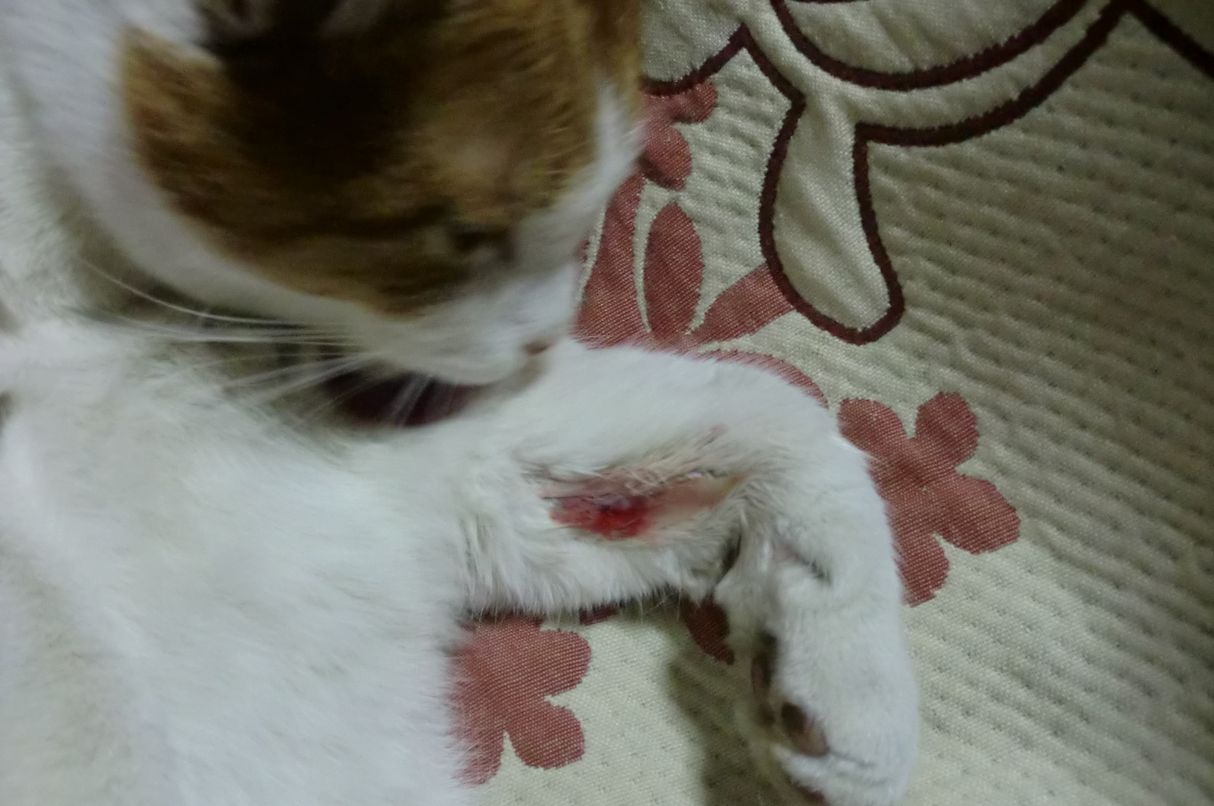 �܂������̒�