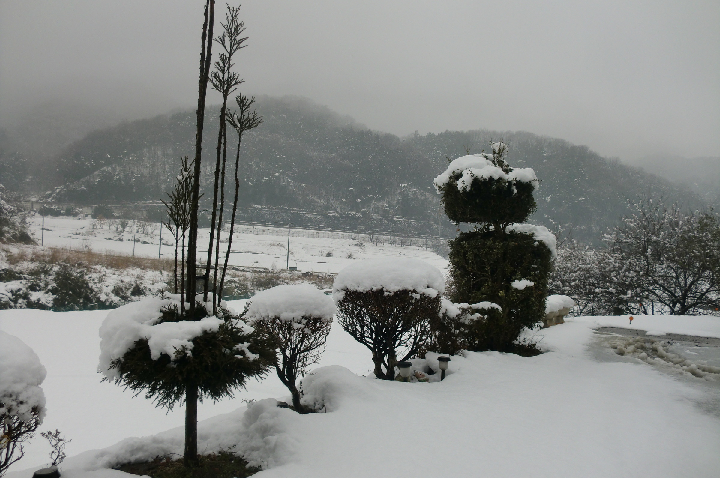 �܂������̒�