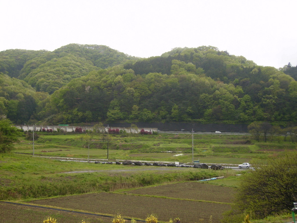 �܂������̒�