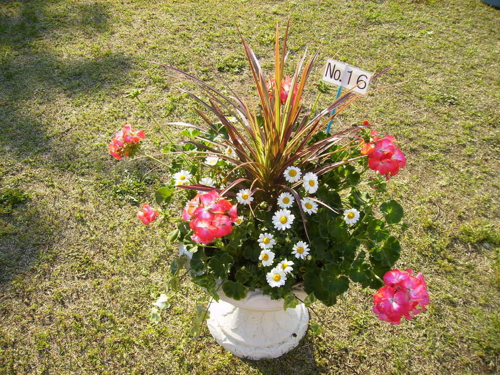 �܂������̒�