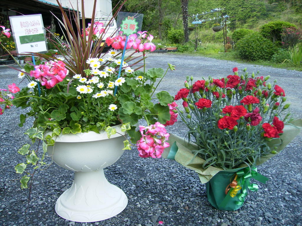 �܂������̒�