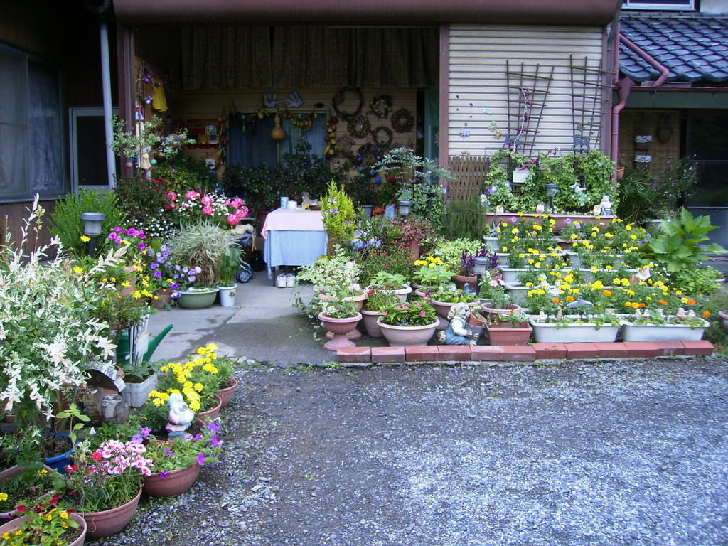 �܂������̒�