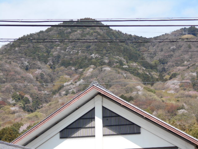 �Ԃǐ^�񒆂̗��ւ�