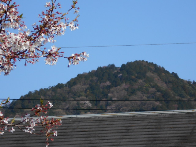 �Ԃǐ^�񒆂̗��ւ�