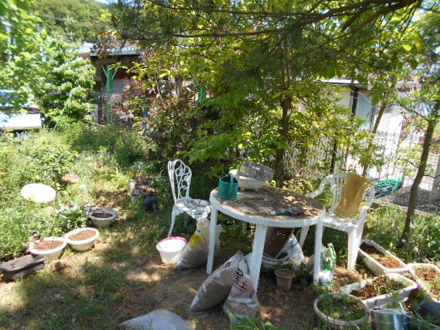 �Ԃǐ^�񒆂̗��ւ�